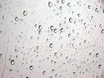窓に雨粒.jpg